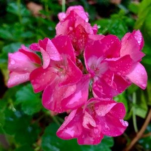 Meet your Posher, Ashlyn